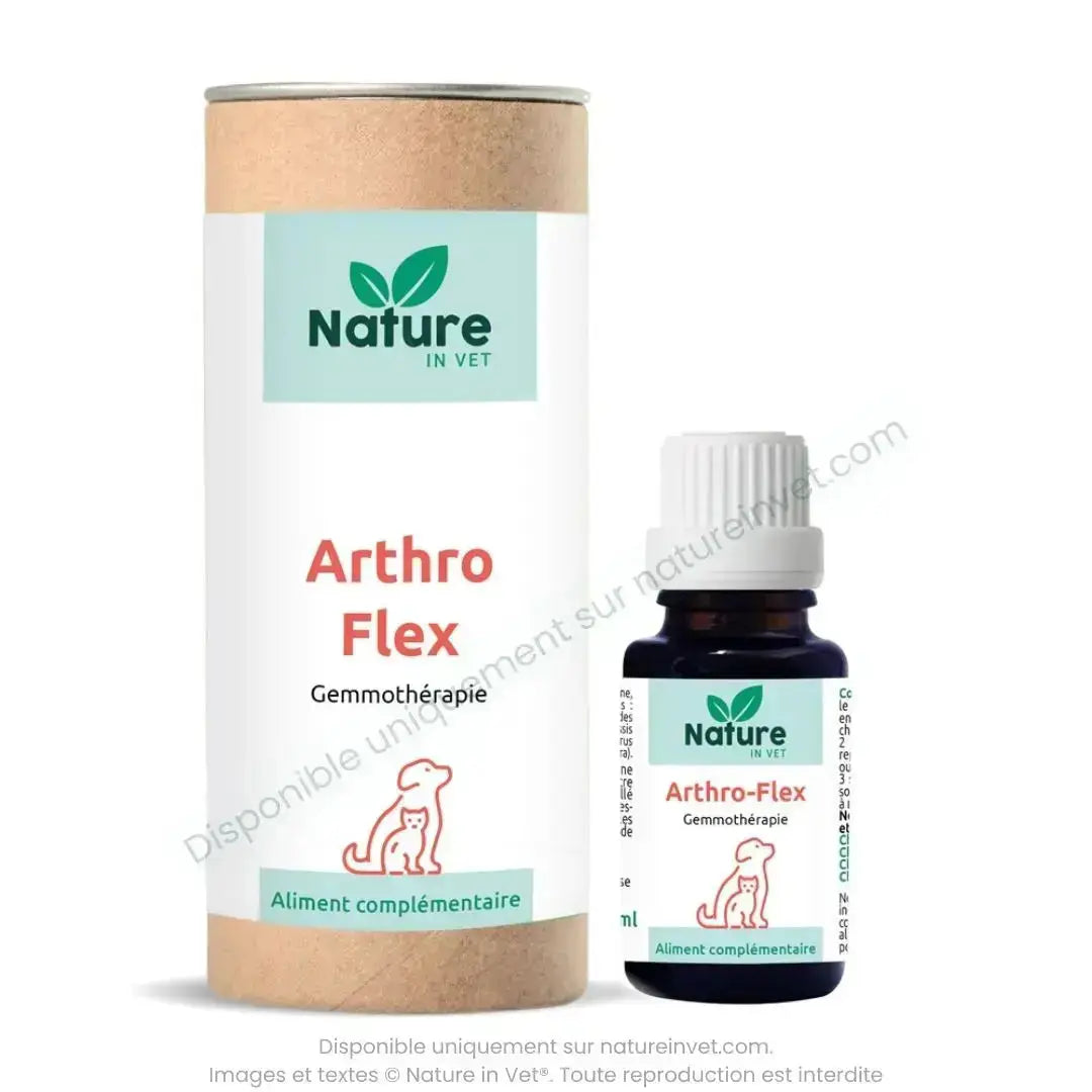 Arthro Flex Nature in Vet flacon de gemmothérapie pour chien chat