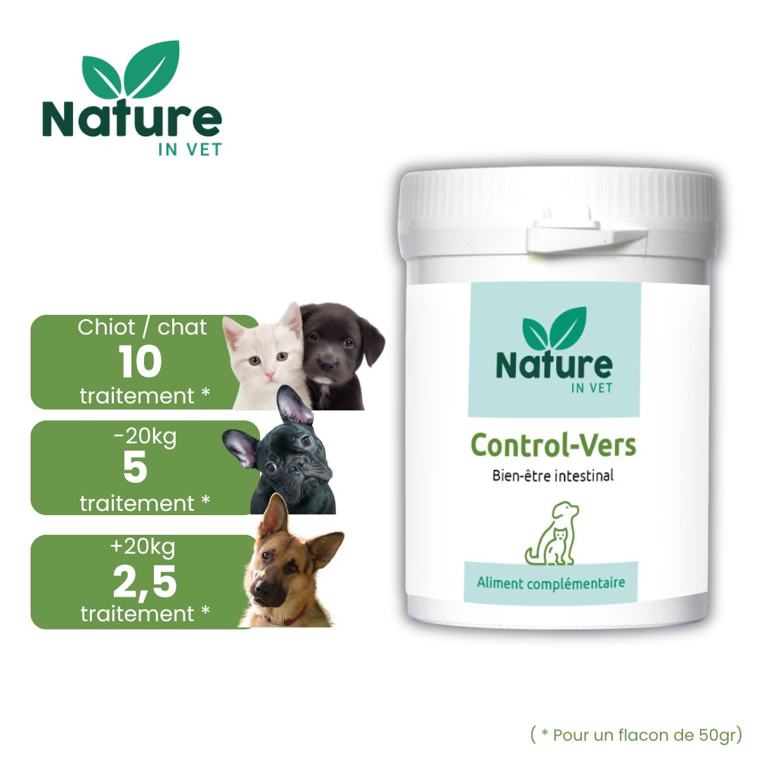 ail vermifuge pour chien