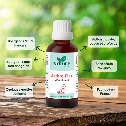 arthro-flex-phytotherapie-chien-chat