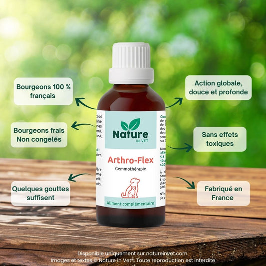 arthro-flex-phytotherapie-chien-chat