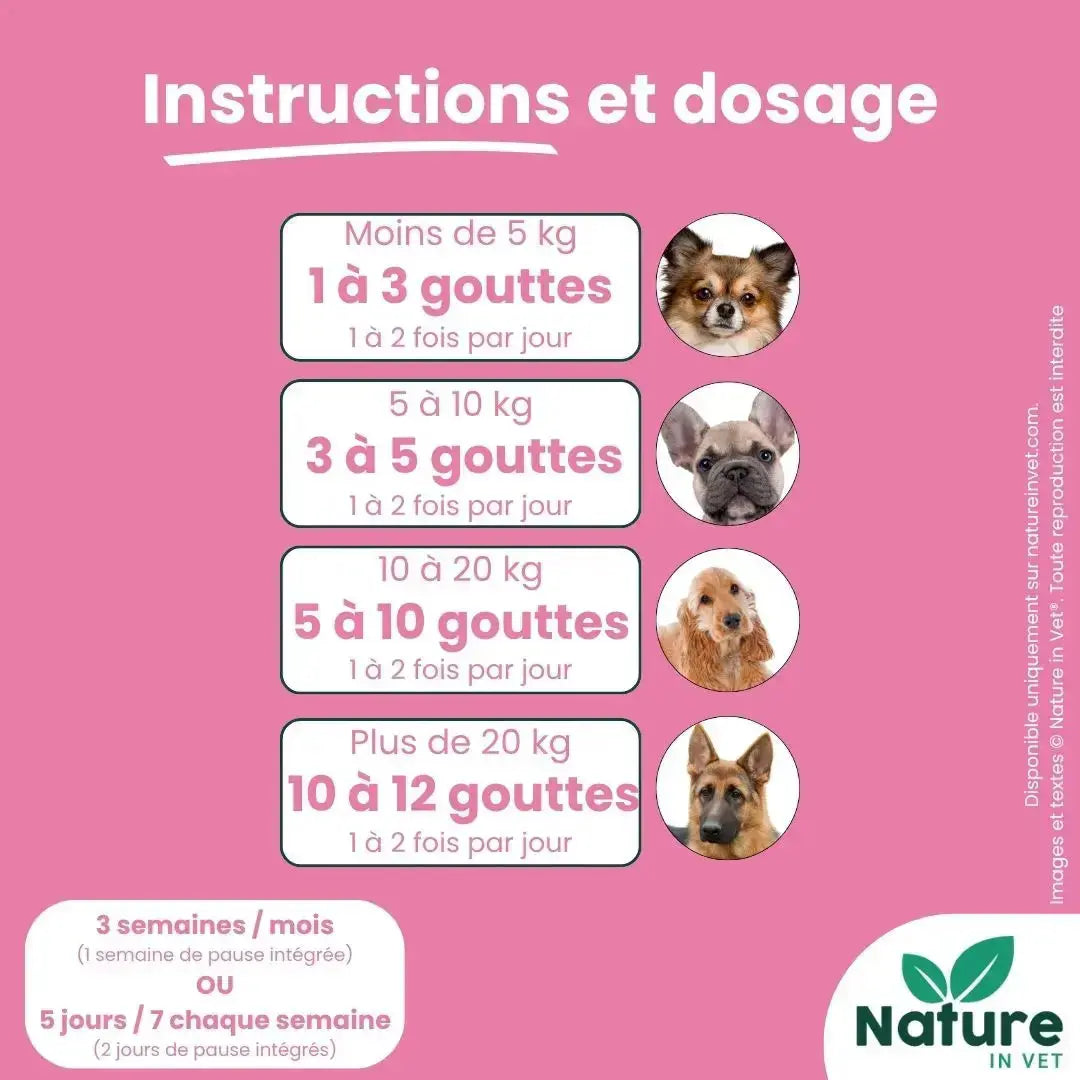 Posologie Gingivo Calm chat selon le poids et nombre de gouttes