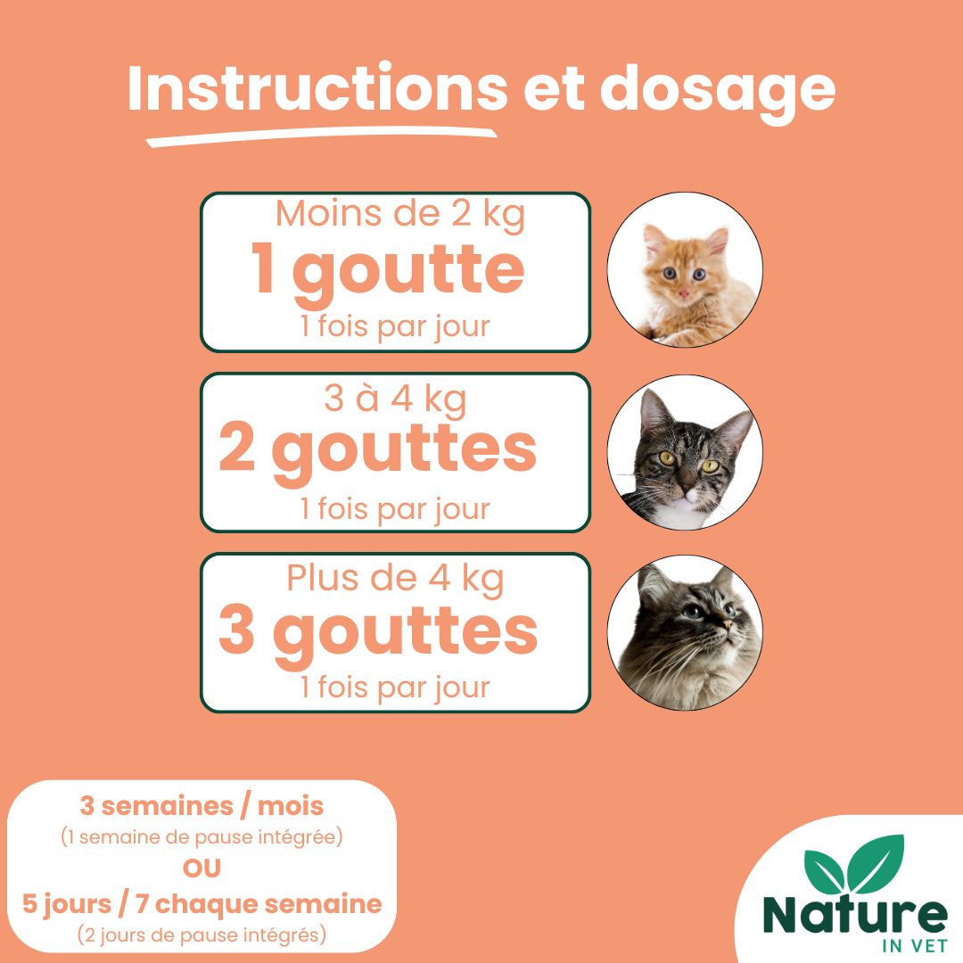 complément alimentaire allergie chat