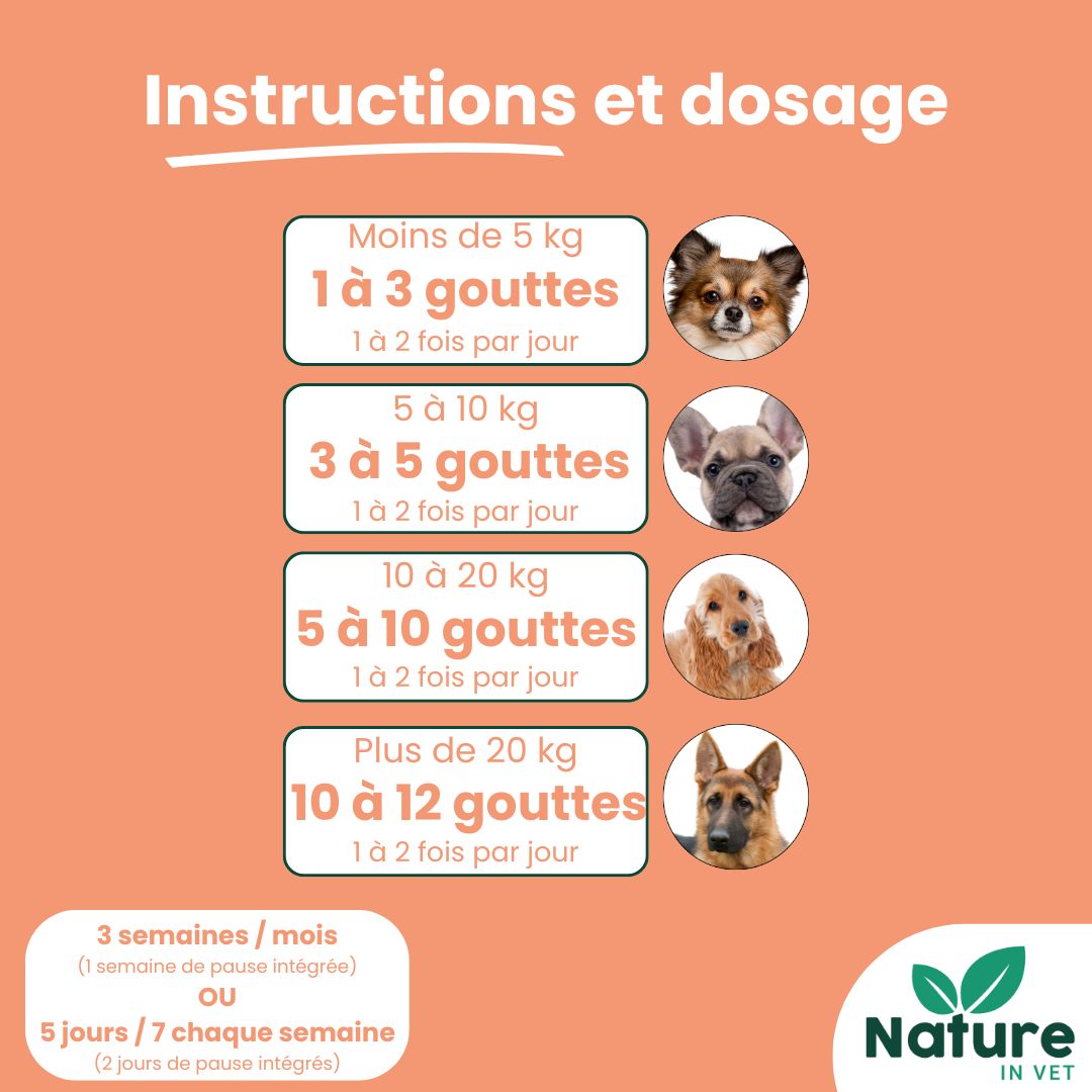 complément alimentaire atopie chien