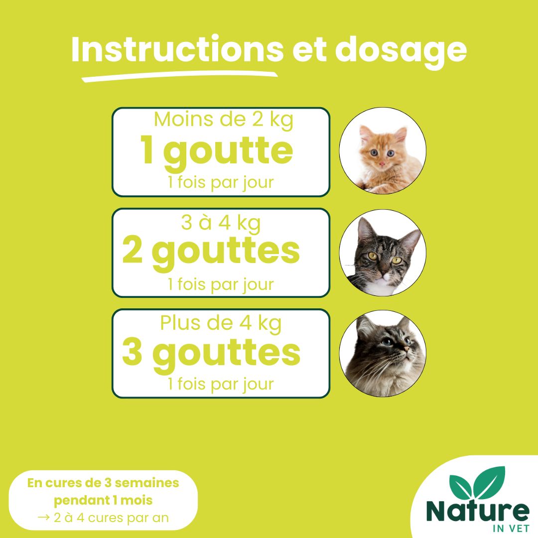 complément alimentaire detox foie chat