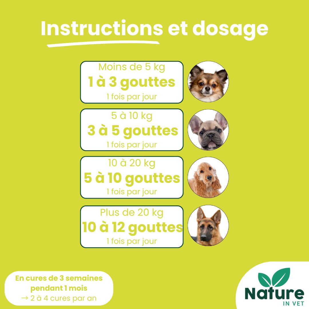 complément alimentaire detox foie chien