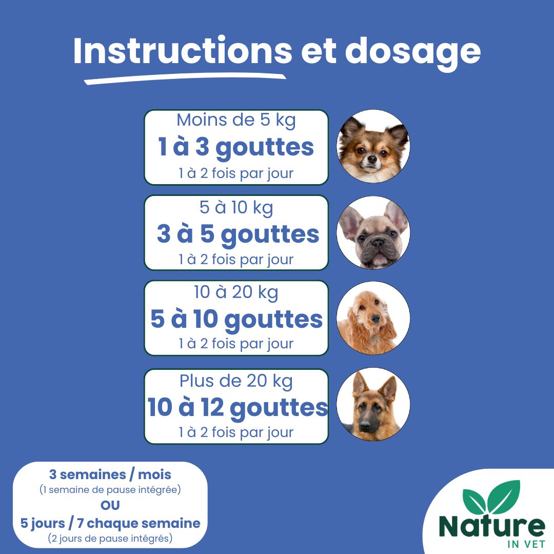 complément alimentaire insuffisance renale chien