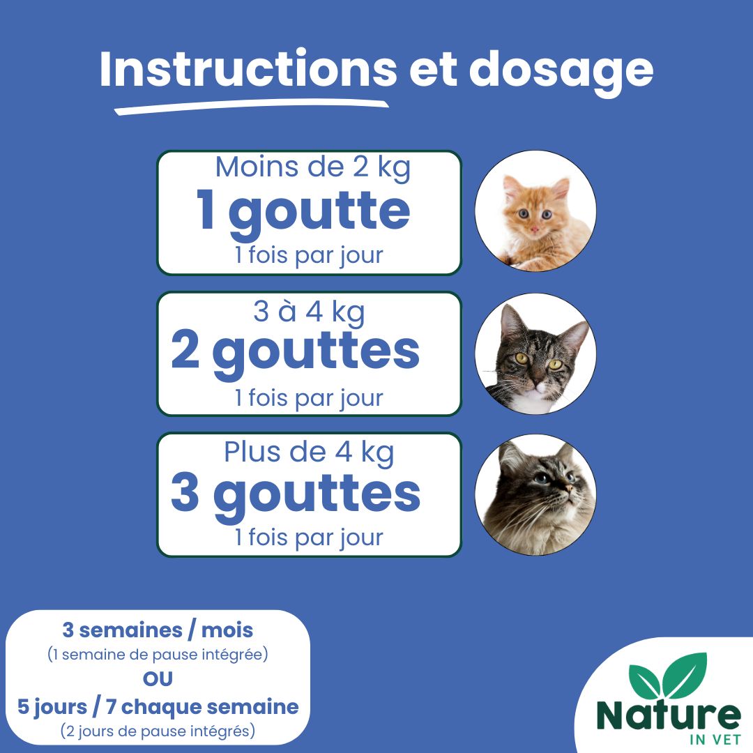 complément alimentaire reins chat