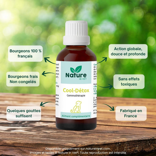 cool-detox-phytotherapie-chien-chat