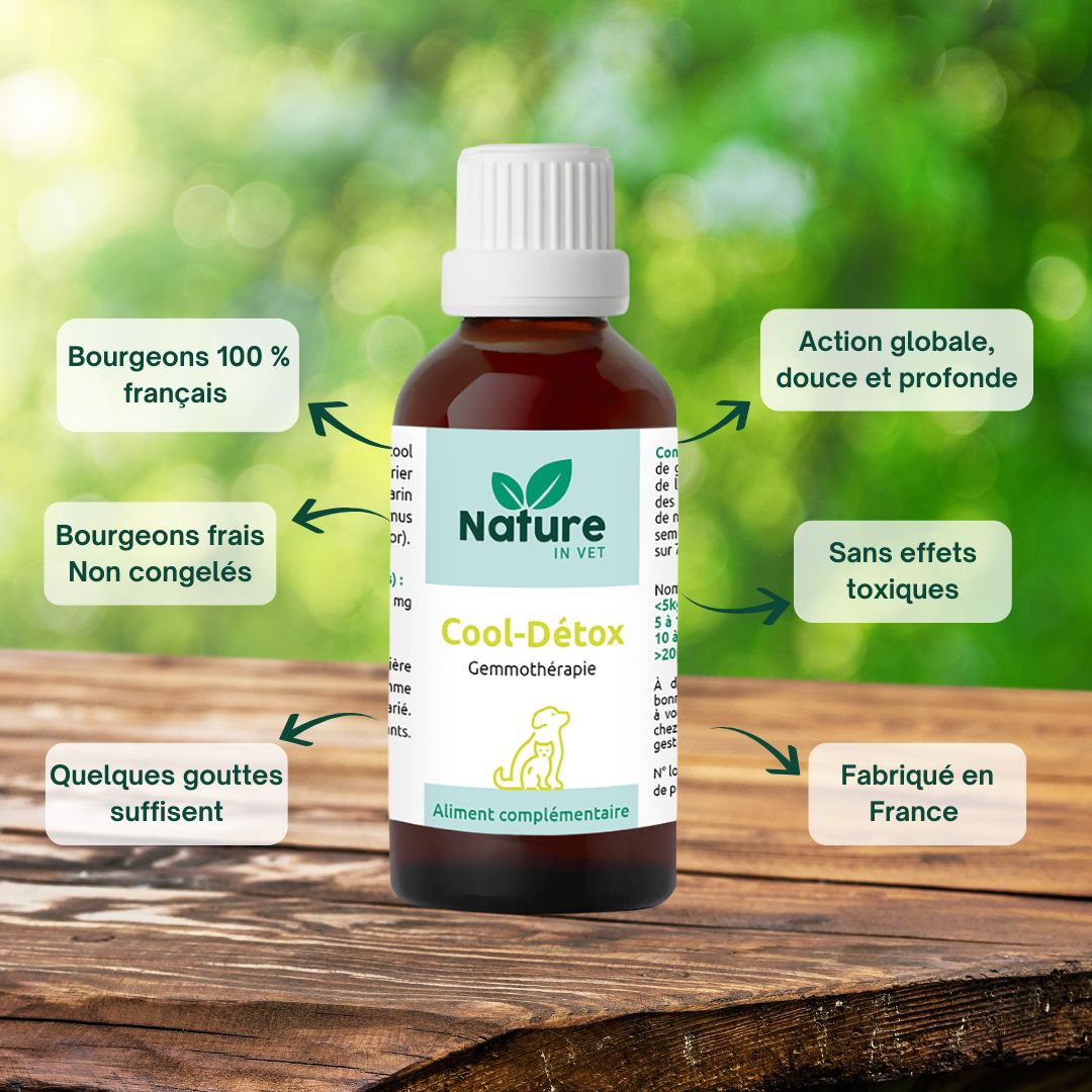 cool-detox phytotherapie chien et chat