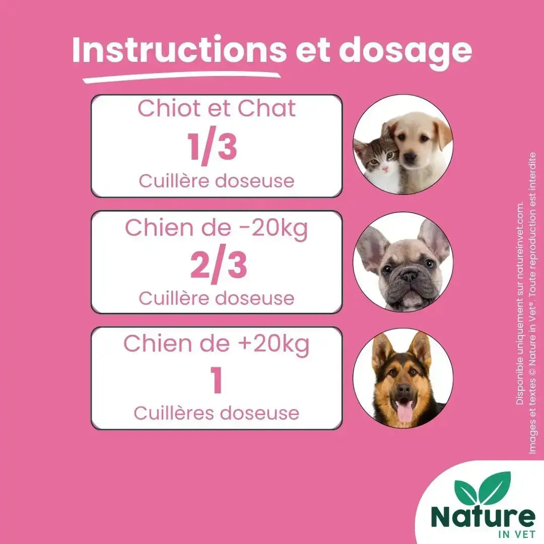 complément bucco dentaire chat pour réduire la plaque et améliorer l’haleine naturellement