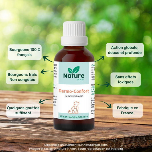dermo-confort-phytotherapie-chien-chat
