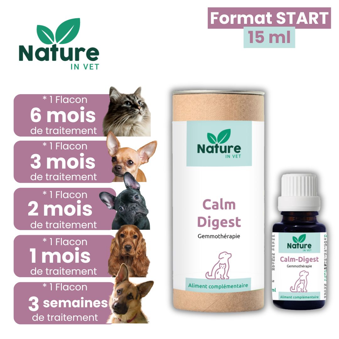 diarrhée chien remède naturel