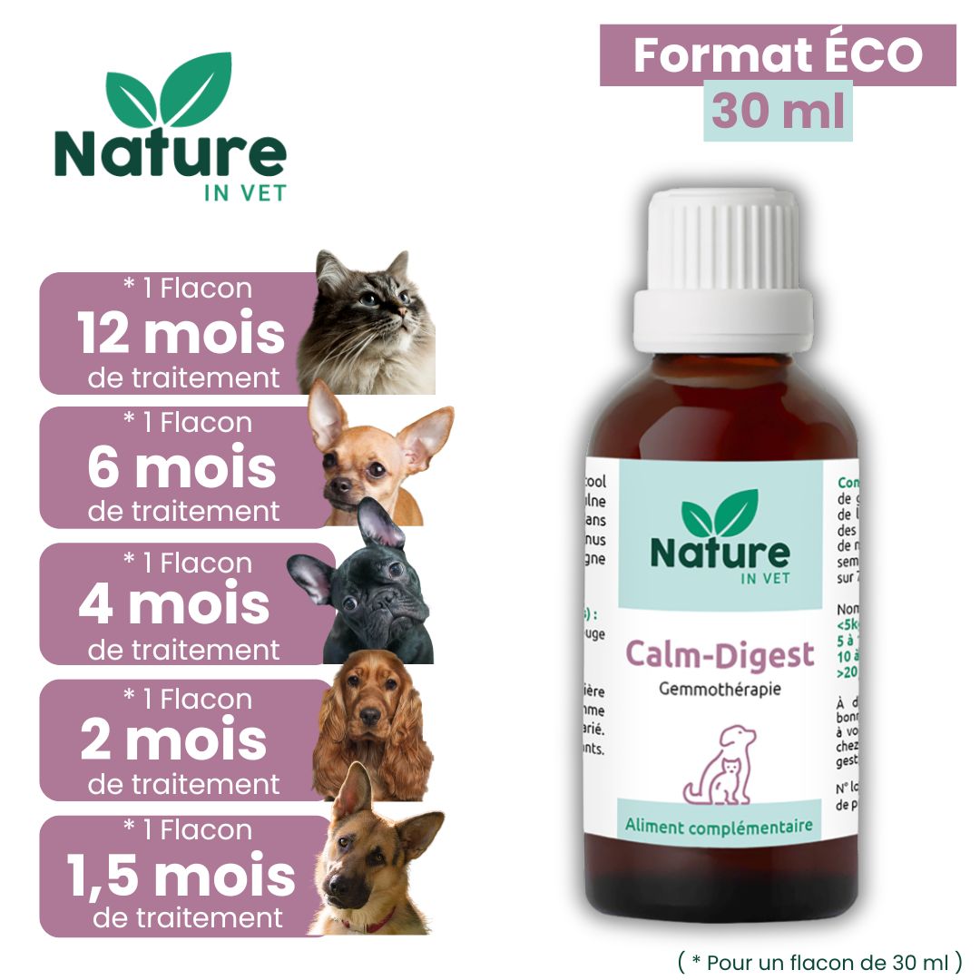 diarrhee chaton traitement naturel