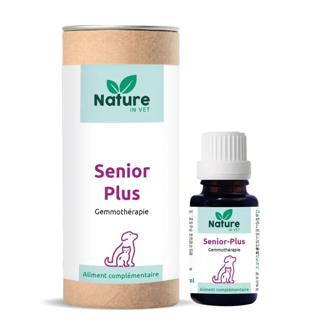gemmotherapie-chat-chien-senior