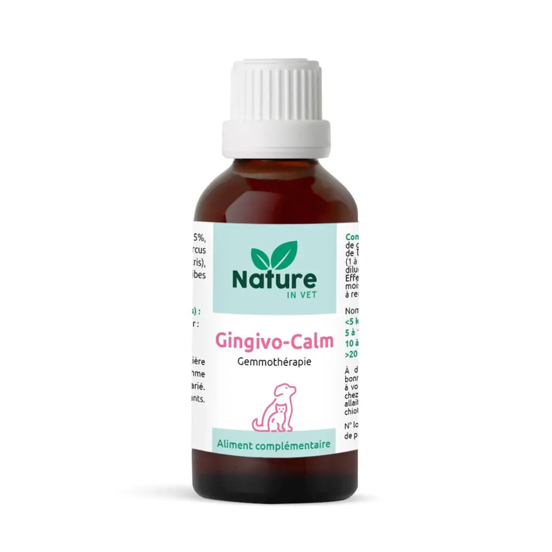 gemmotherapie-chat-gingivite