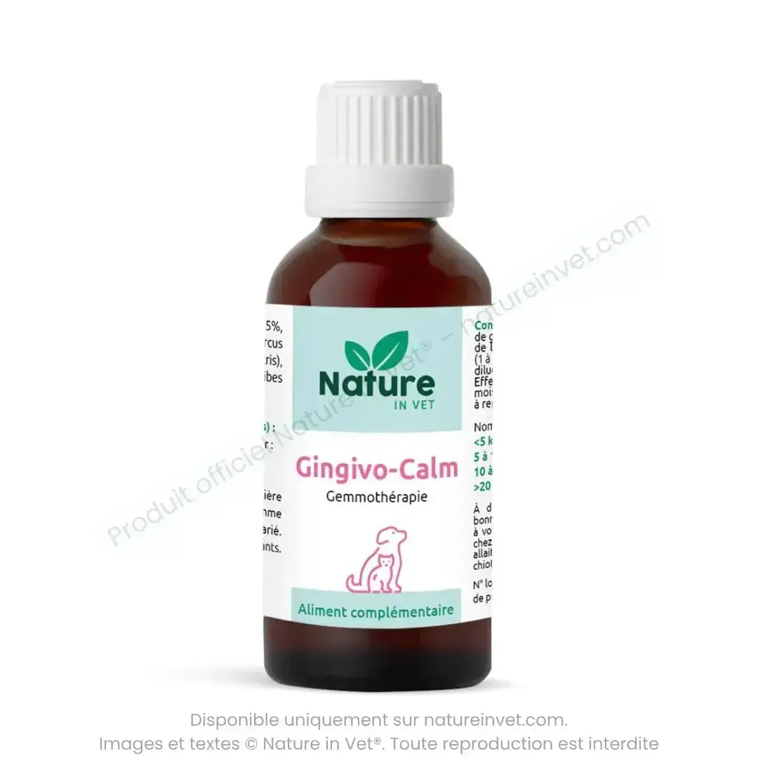 gingivo-calm-nature-in-vet