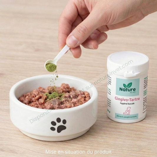 GINGIVO-TARTRE Nature In Vet