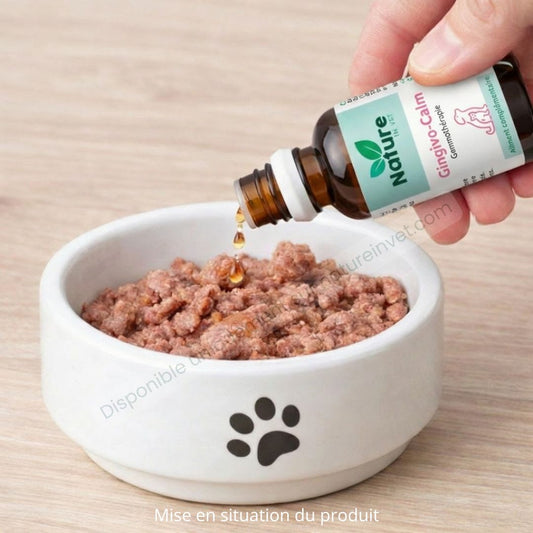 GINGIVO-CALM Nature In Vet