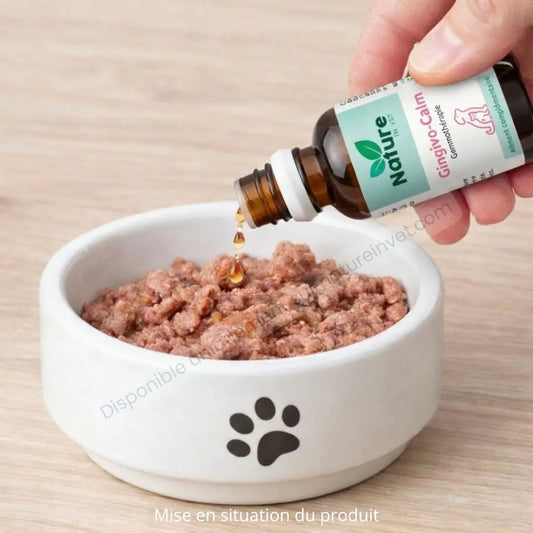 GINGIVO-CALM Nature In Vet