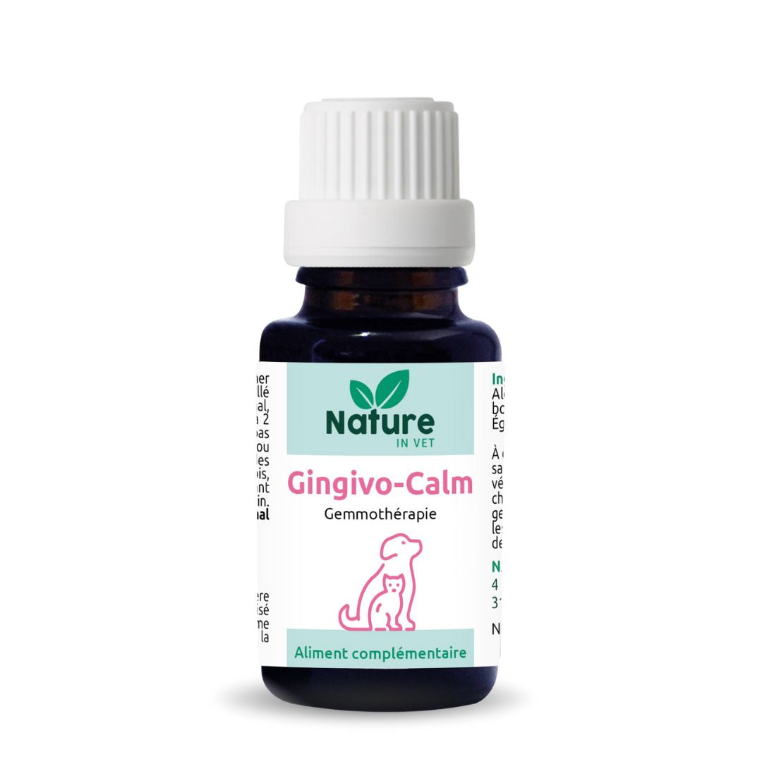 inflammation bouche chat phytotherapie