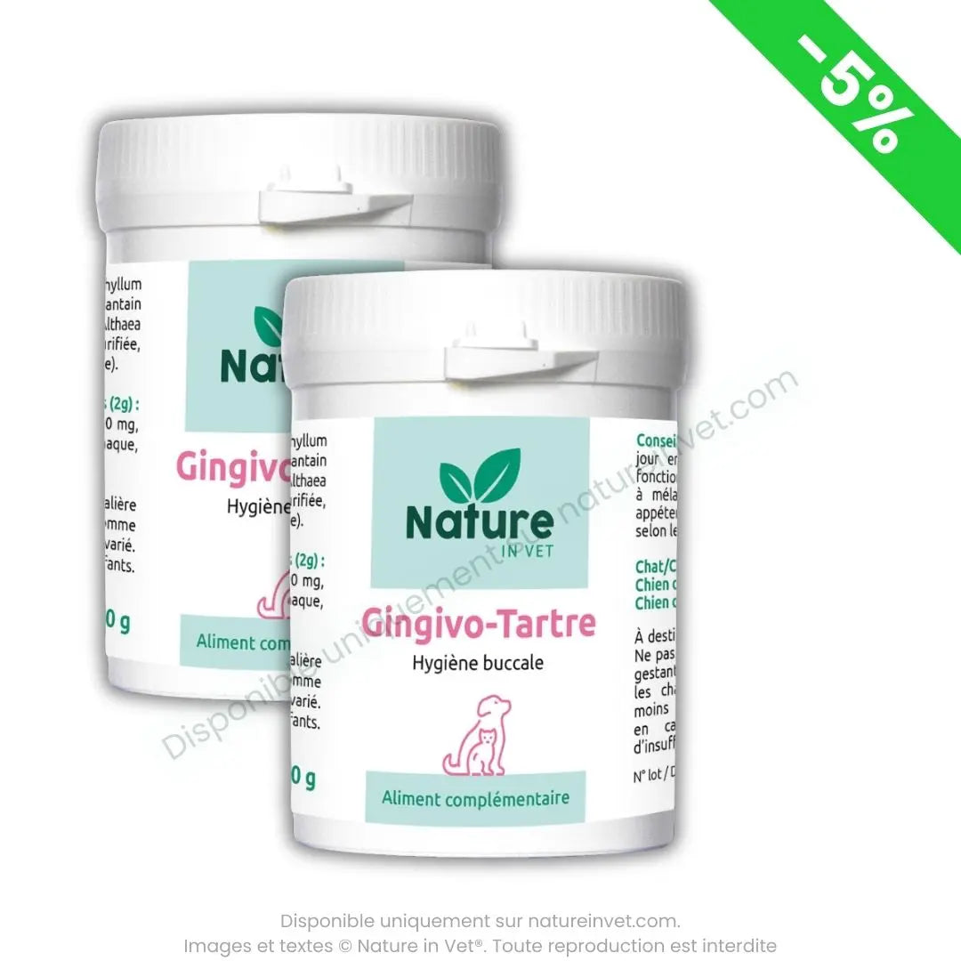 meilleur-anti-tartre-chien