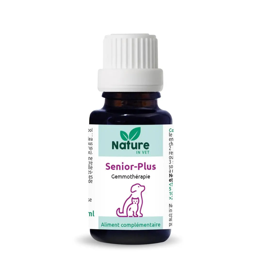 phytotherapie-chat-chien-senior