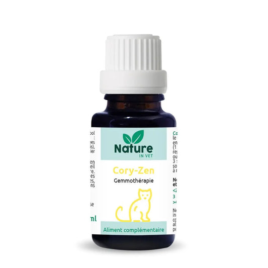 phytotherapie-chat-coryza