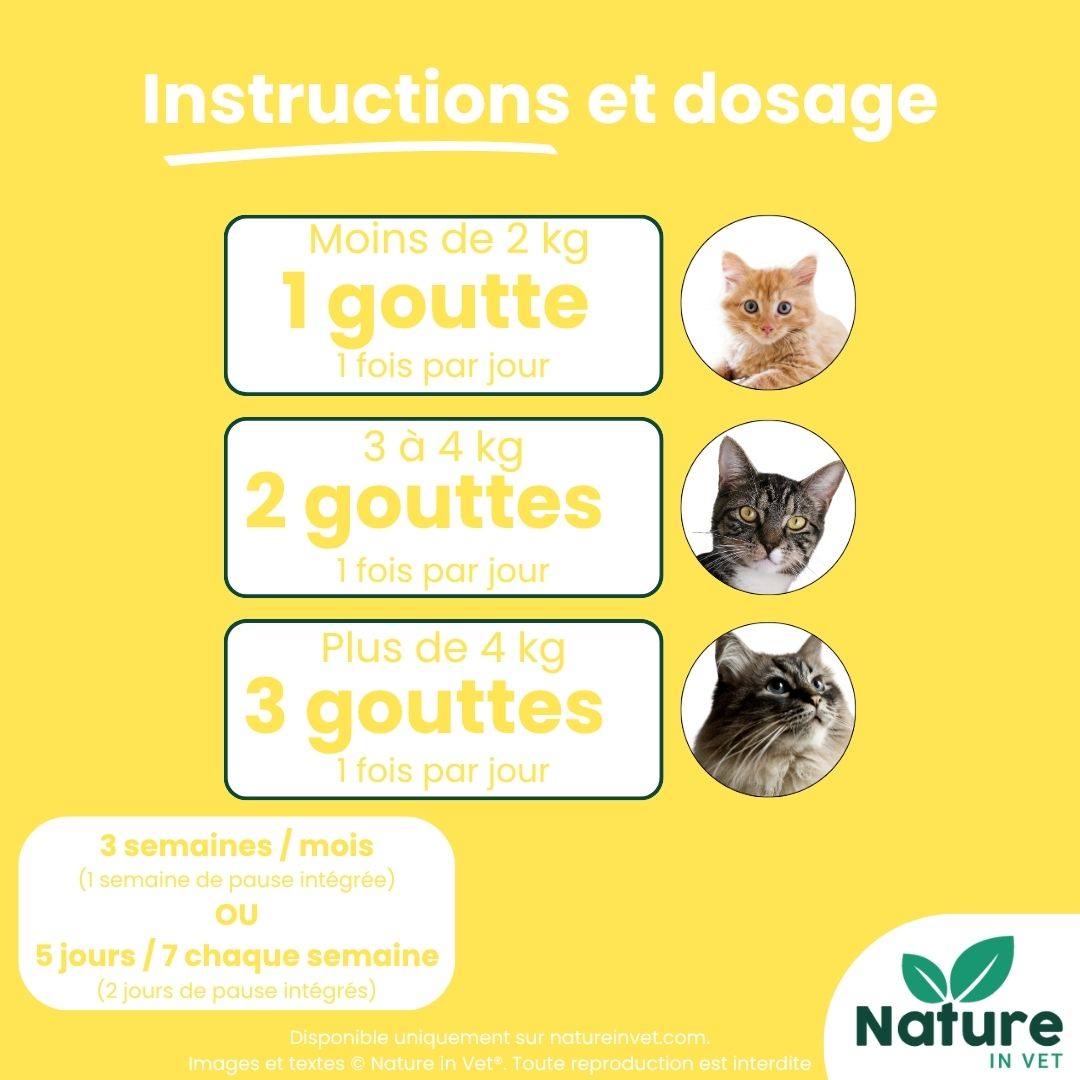 posologie-gemmotherapie-chat-coryza