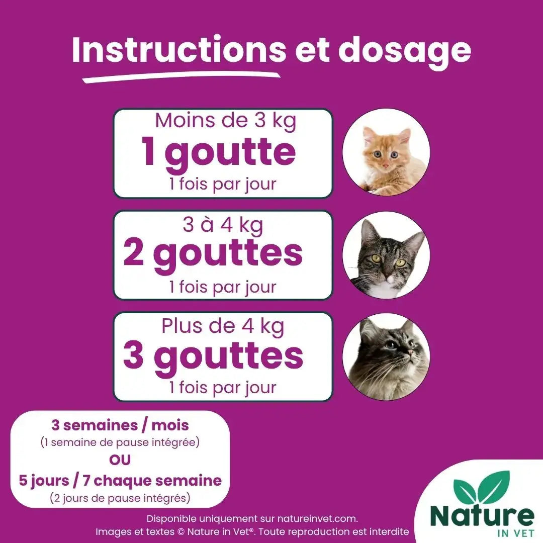 Dosage Senior Plus pour chien selon le poids et la posologie