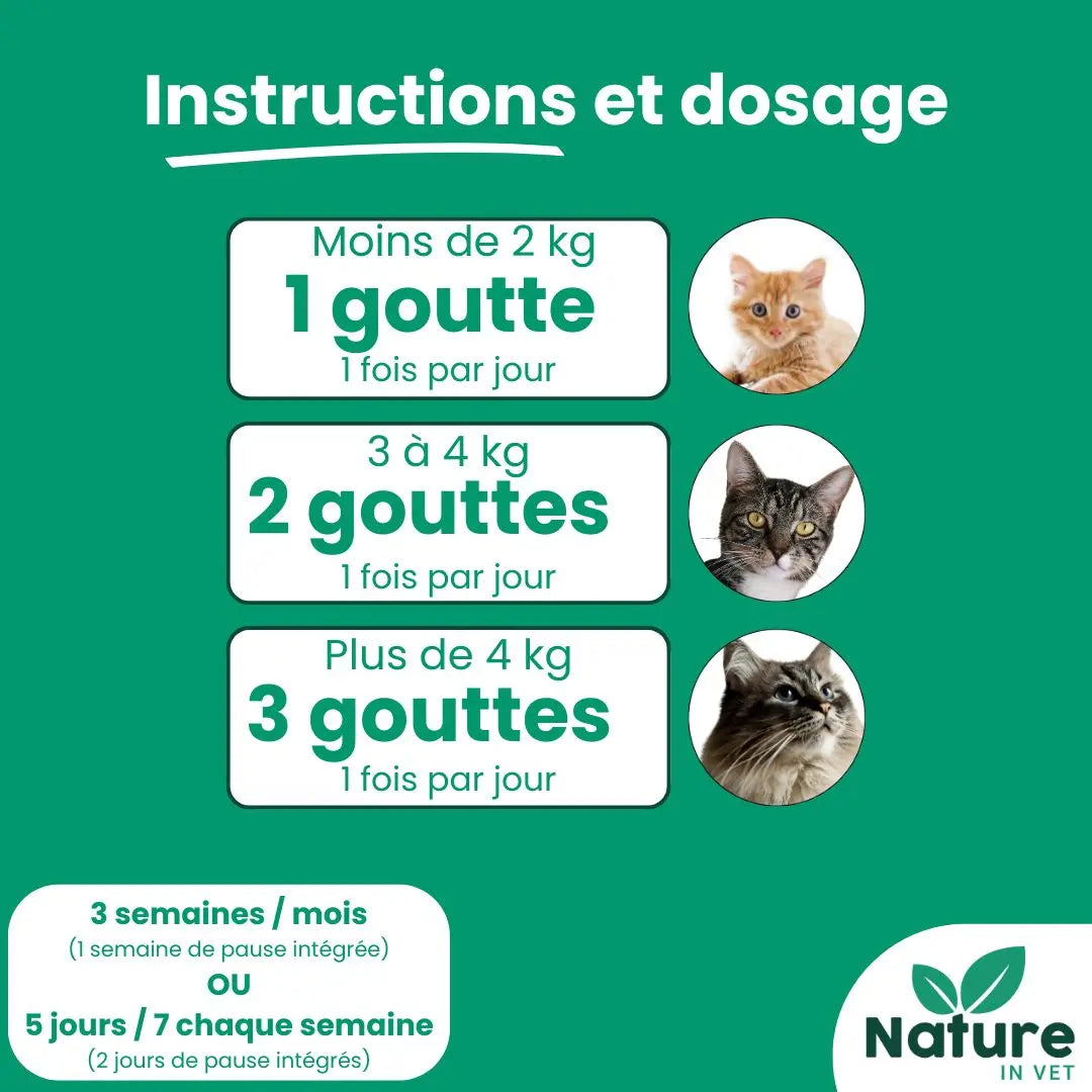 posologie-phytotherapie-chat-anti-stress