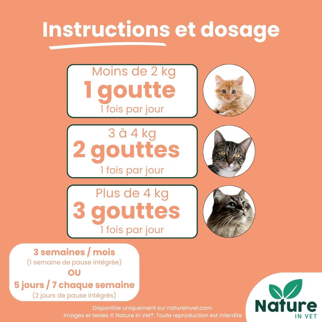 posologie-phytotherapie-chat-demangeaisons