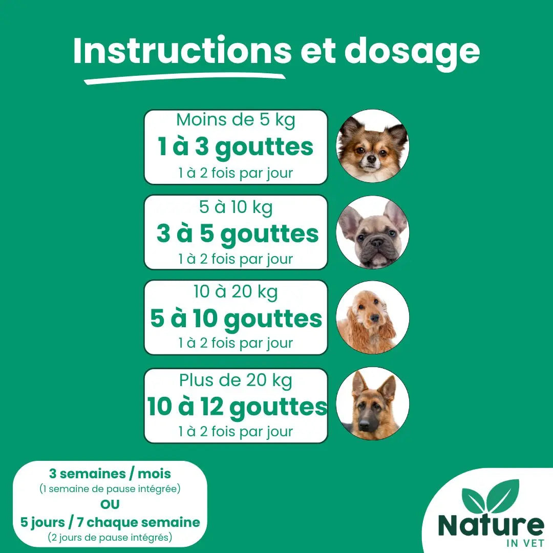 posologie-phytotherapie-chien-anti-stress