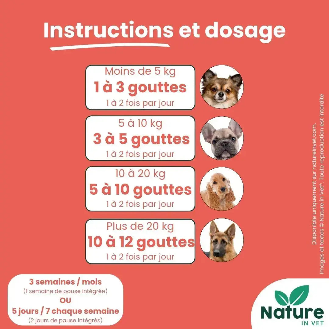 Posologie Arthro Flex pour chien et chat selon le poids