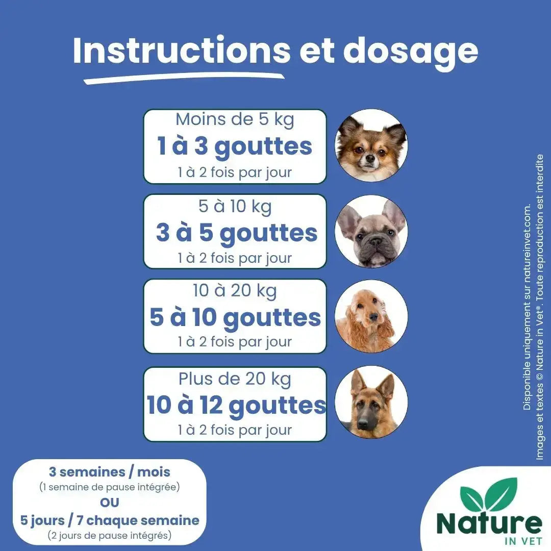 Posologie Renal Vital pour chien et chat selon le poids