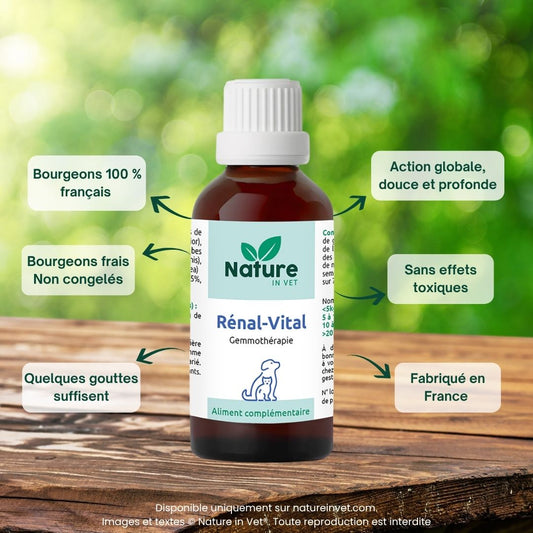 renal-vital-phytotherapie-chien-chat