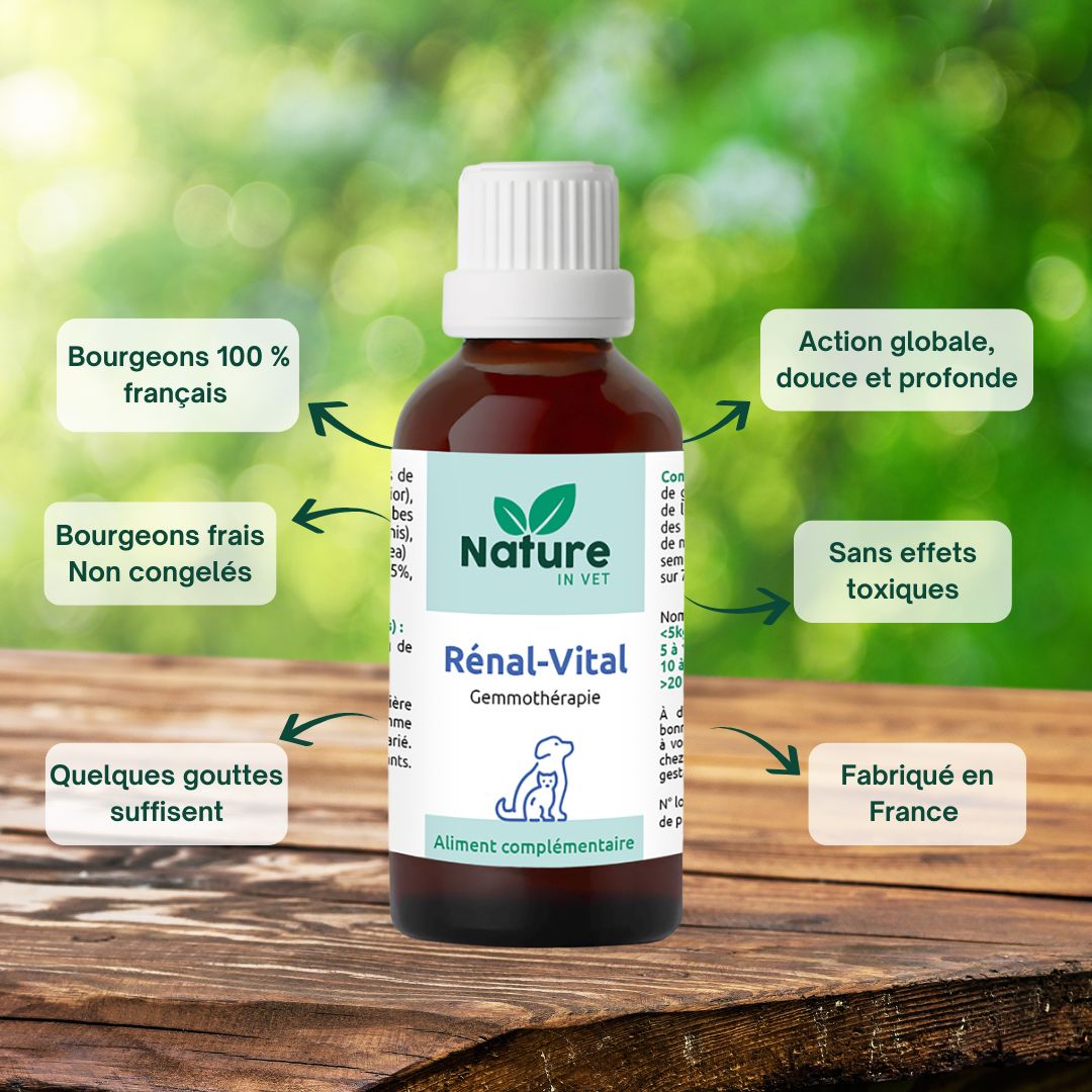 rénal-vital phytotherapie chien et chat