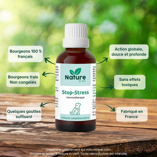 stop-stress-phytotherapie-chien-chat