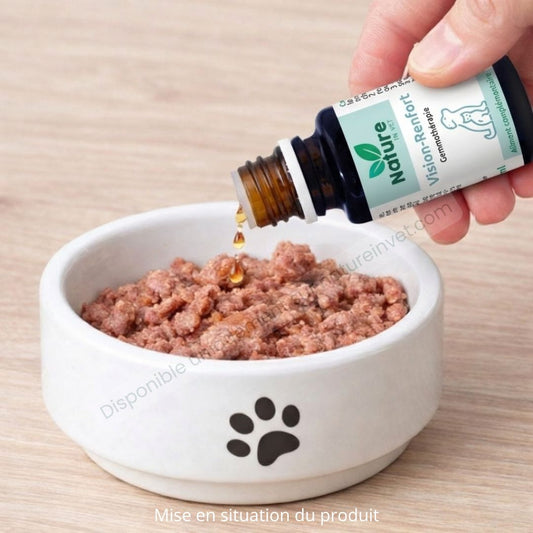 VISION-RENFORT Nature In Vet