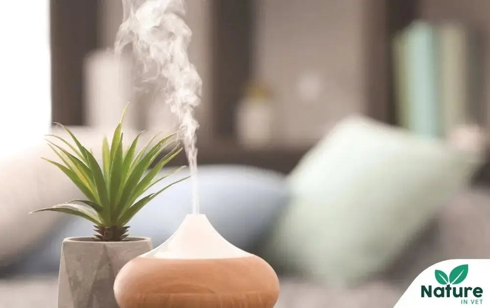 Diffuseur anti-stress chat : le guide complet pour bien choisir Nature In Vet