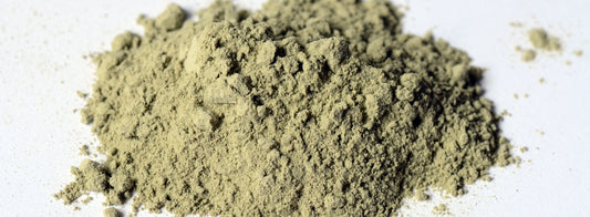 argile verte chien