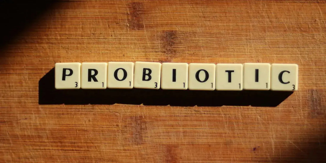 probiotic chien