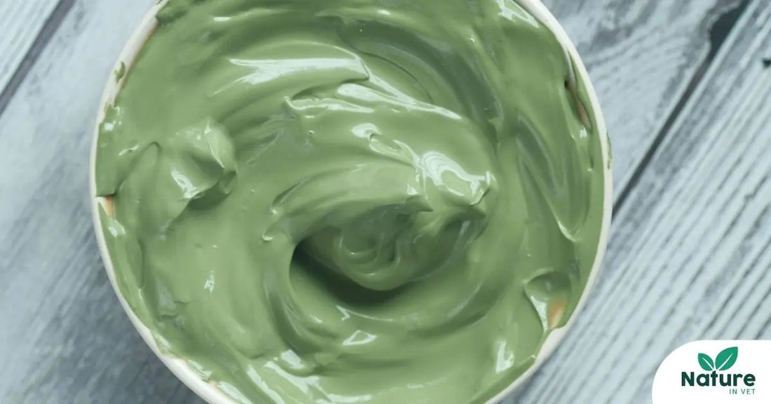 Argile médicinale  : le remède naturel polyvalent pour votre chien