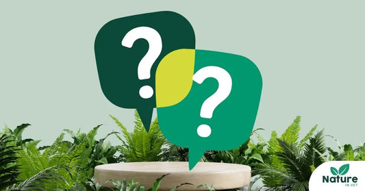 Vermifuge naturel chien et chat : la méthode douce pour éliminer les vers