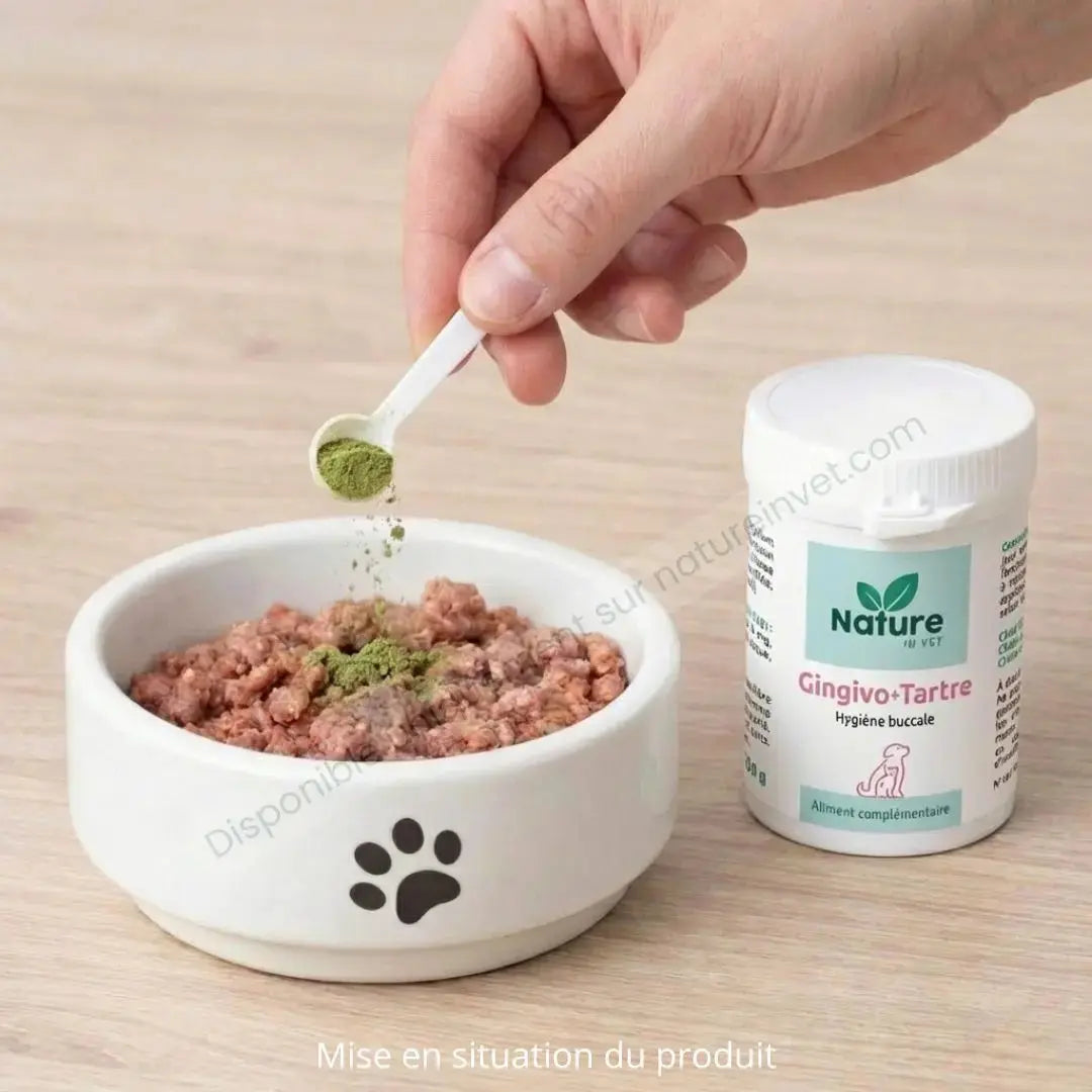 Nos-autres-solutions-naturelles-pour-chien-et-chat Nature In Vet