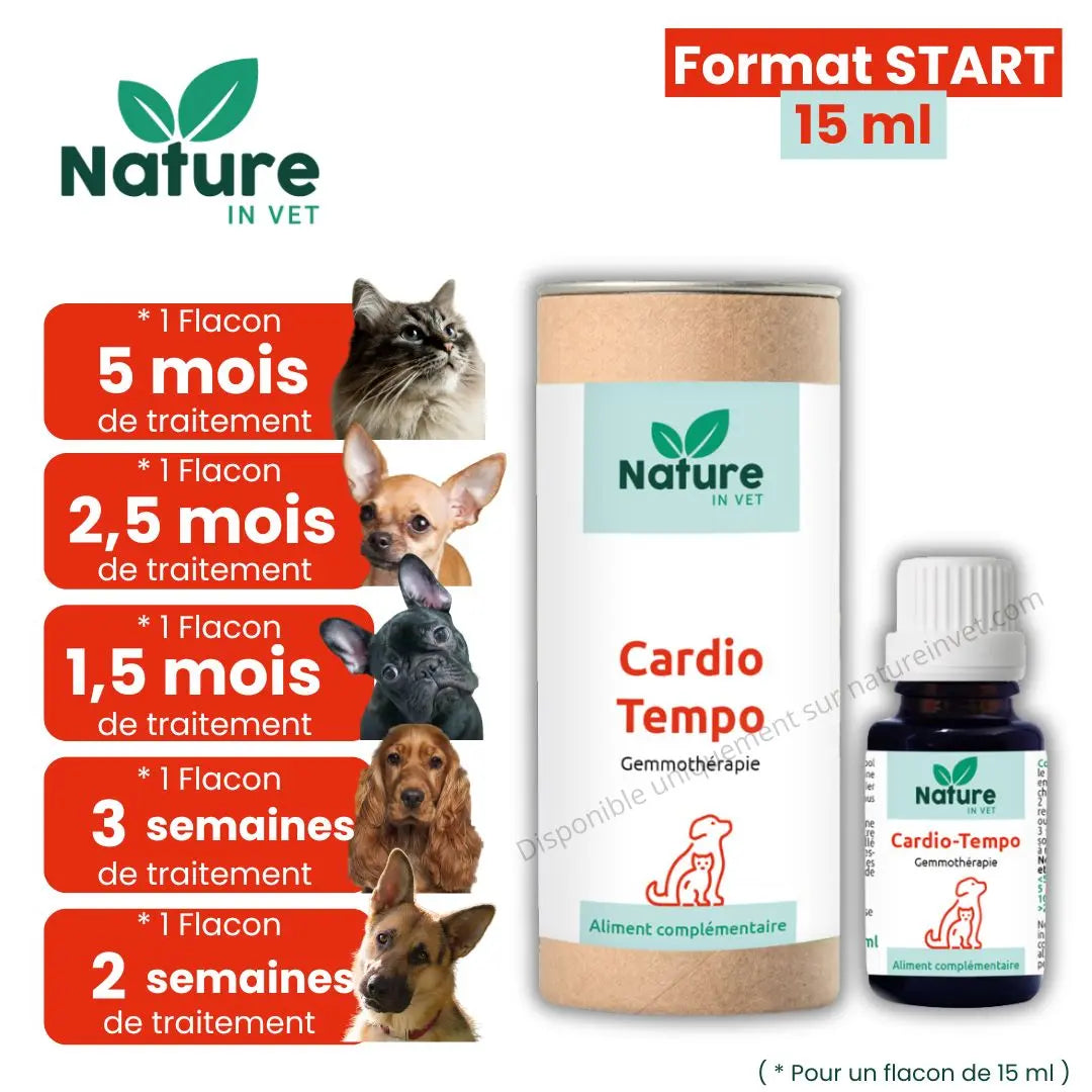 traitement naturel coeur chien chat phytotherapie cardio tempo