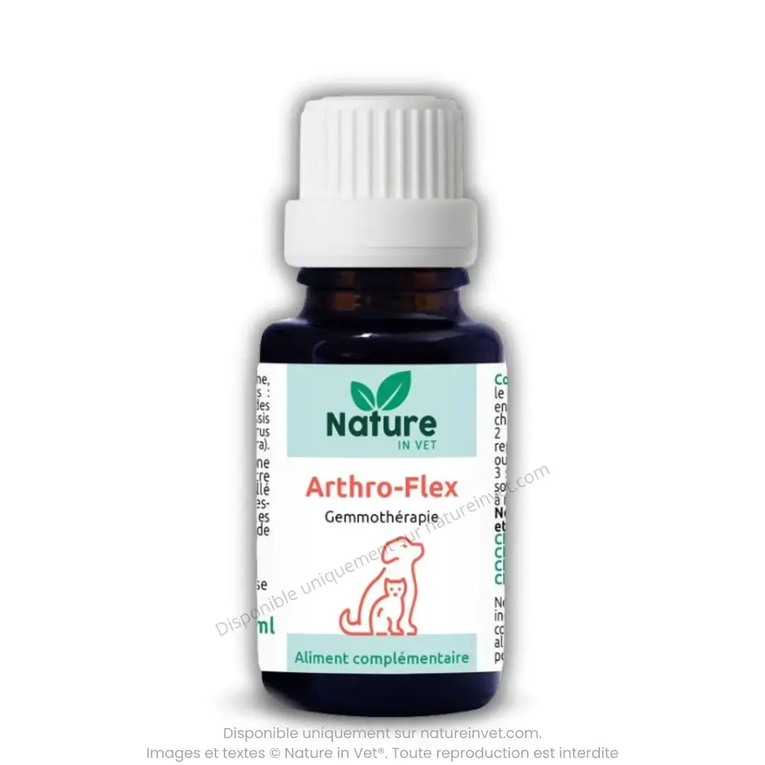 ARTHRO-FLEX Nature In Vet