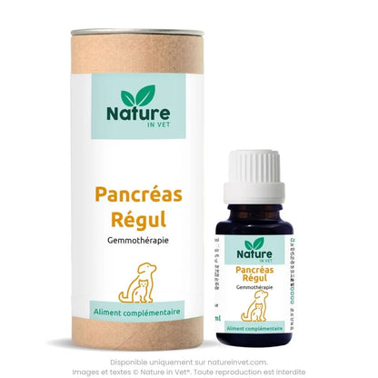 PANCREAS-REGUL Nature In Vet