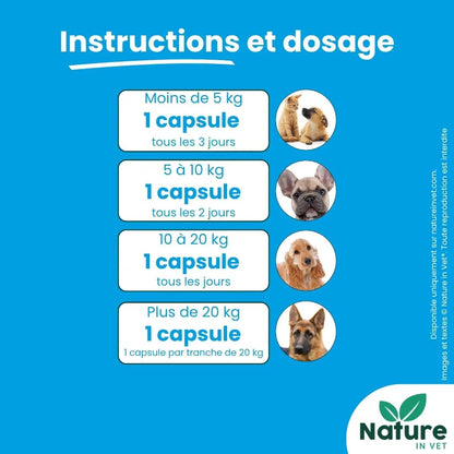 HUILE DE KRILL Nature In Vet