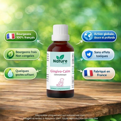 GINGIVO-CALM Nature In Vet