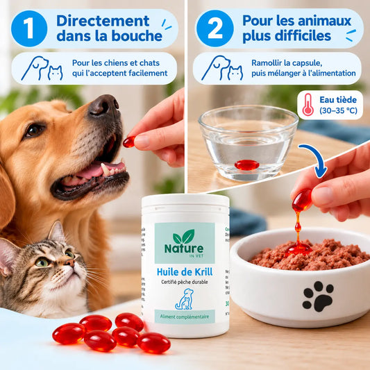 HUILE DE KRILL - Omega 3 Nature In Vet